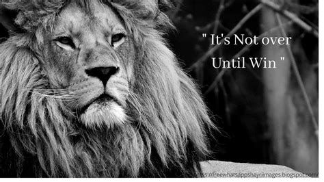 25+ Motivational Lion Pictures Quotes - Brave Lion Quotes