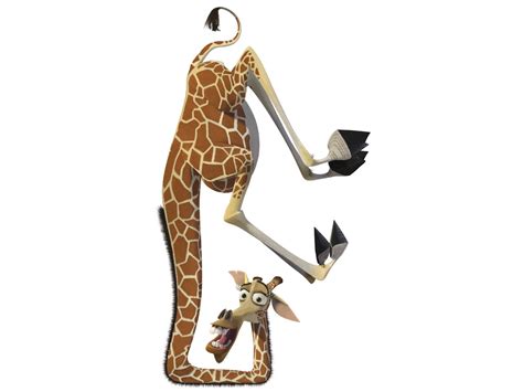 Image - Melman 3.jpg | Dreamworks Animation Wiki | FANDOM powered by Wikia