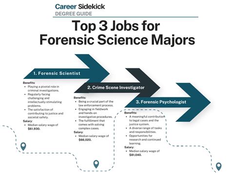 Top 15 Forensic Science Degree Jobs – Career Sidekick