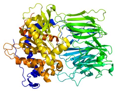 Prolyl endopeptidase | Wiki | Everipedia