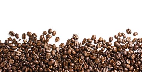 Coffee Beans PNG Image | Beans, Fine coffee, Coffee