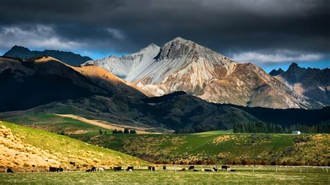 New Zealand Landscape #6879972