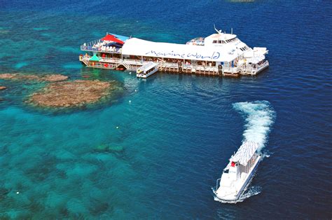 Cairns Reef Tours