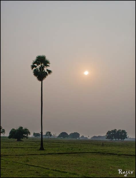 The celebration of Chhath Puja - Webguy Travel Tales