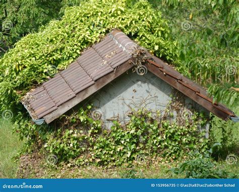 Allotments on the Edge of the Forest with Nice Garden House with Brick Cover 2 Stock Image ...