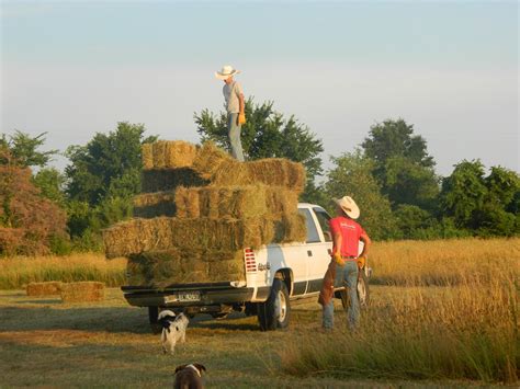 Rashel's Run: Haying time on the farm