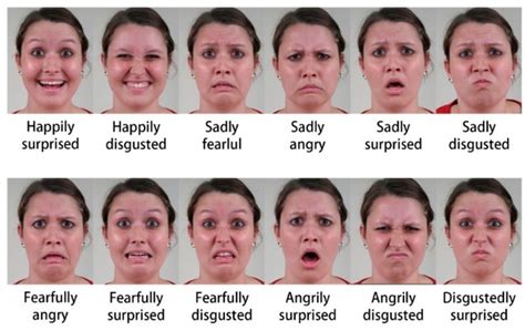 Ekman Facial Expressions Chart