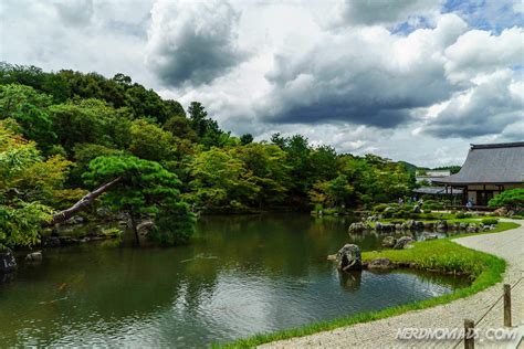 Bamboo Grove Kyoto - Nerd Nomads