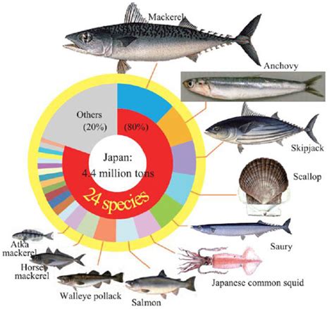 Development of Aquaculture | Fish Farming in Japan