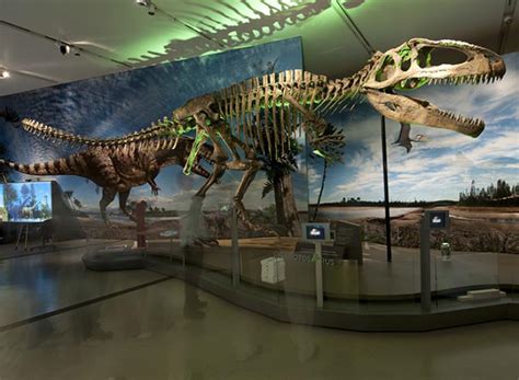 Ultimate Dinosaurs at the Canadian Museum of Nature - SavvyMom