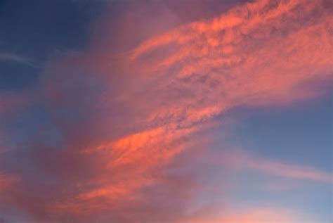 Pink Cloud Free Stock Photo - Public Domain Pictures