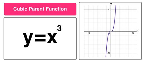 Parent Functions and Parent Graphs Explained — Mashup Math