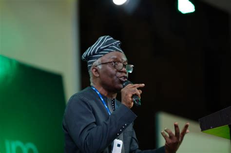 Femi Falana Biography: Wife, Net Worth, Children, Age, Chambers ...