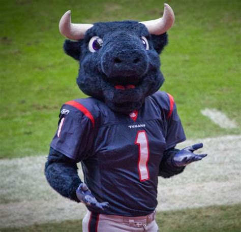 Toro (Houston Texans) | SportsMascots Wikia | Fandom