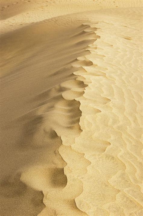 Sand Ripples. Photograph by Mark Williamson/science Photo Library - Fine Art America