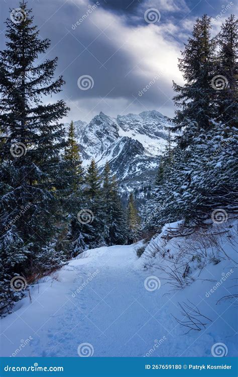 Winter Landscape of Snowy Tatry Mountains. Poland Stock Photo - Image ...