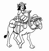 Free Camel coloring Page  Download Print Or Color Online For sketch template