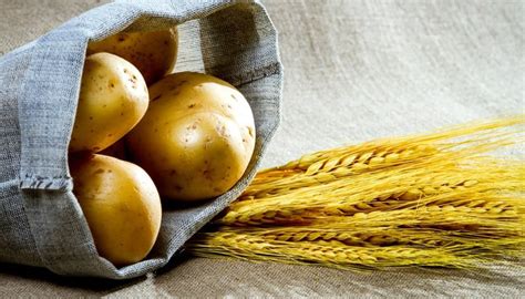 Potato Vodka vs. Grain Vodka: What’s the Difference?