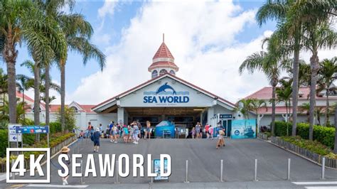 SeaWorld Gold Coast | Full Complete WalkThrough Tour - YouTube