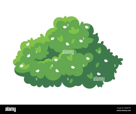 Green bush vector illustration Stock Vector Image & Art - Alamy