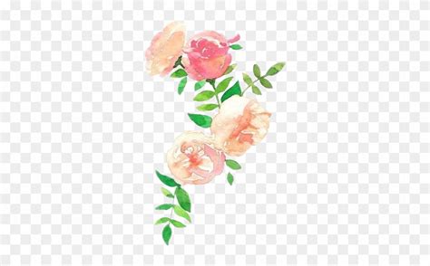 Report Abuse - Peach Watercolor Flowers - Free Transparent PNG Clipart ...