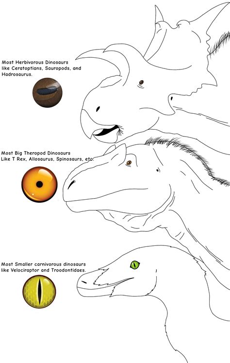 Dinosaur Eye Speculation by gcjdfkjbrfguithgiuht on DeviantArt