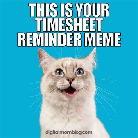 25 Funny Timesheet Memes And Reminders For The Forgetful