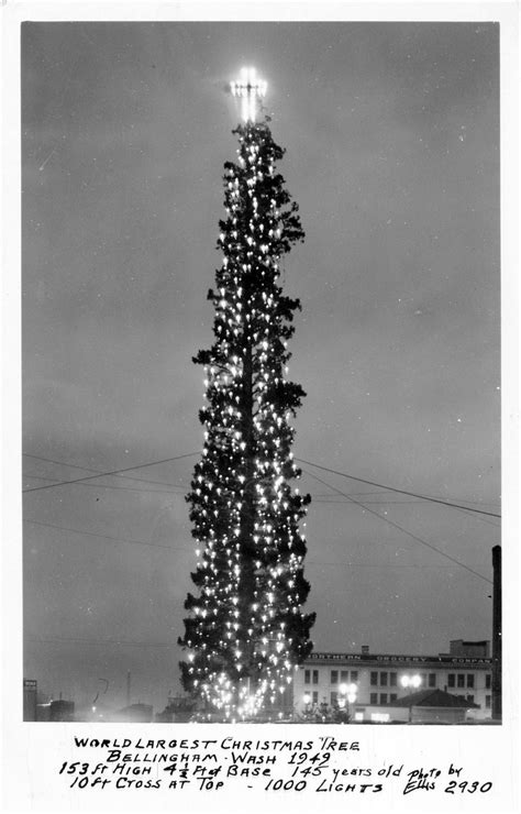 Bellingham lights the world's tallest Christmas tree on December 13 ...