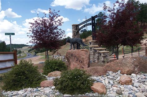 Colorado Wolf and Wildlife Center | PHOTOS