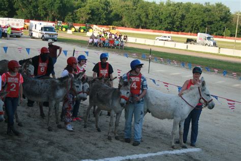 IMG_2128 | 2014 Donkey Races - Photos courtesy of Todd Hunt … | Flickr