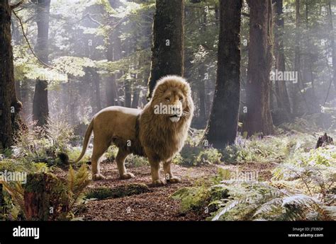 Aslan As Aslan Film Title The Chronicles Of Narnia High Resolution ...