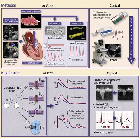 Electrophysiological and Contractile Effects of Disopyramide in ...