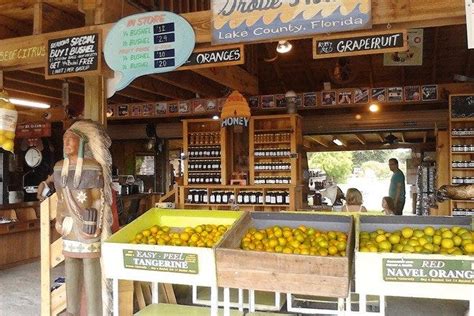 Showcase of Citrus is one of the very best things to do in Orlando