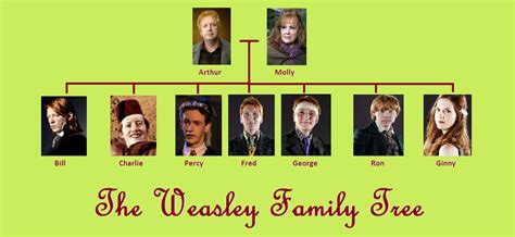 Family tree weasley by Silverfeather222 on DeviantArt