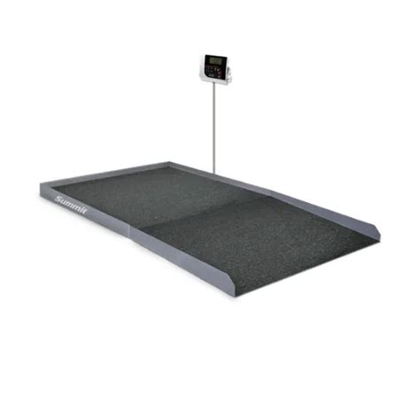 Heavy Duty Single Ramp Bariatric Wheelchair Scale