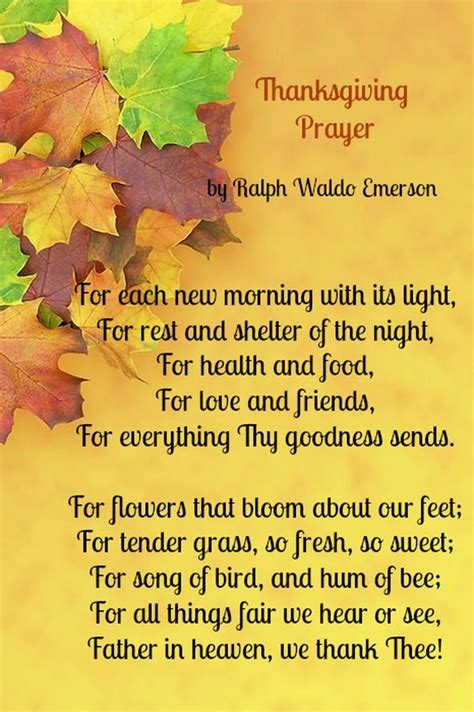 Best Thanksgiving Poems | Thanksgiving prayers for family, Thanksgiving poems, Thanksgiving quotes