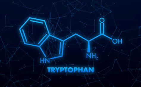 L-tryptophan and its effects on the body. Does it help with mood and ...