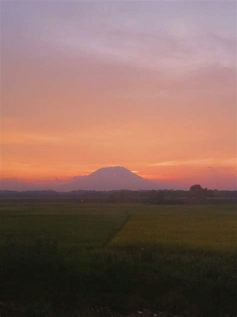 Sawah, Gunung, dan Senja