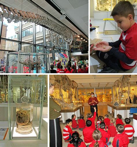 2K Child-Led Learning Trip to the Cambridge Zoology Museum 2022 | St John's College School