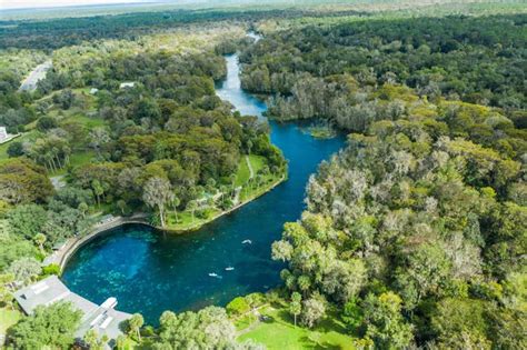 Top 5 Things To Do At Silver Springs State Park | Get Up And Go Kayaking