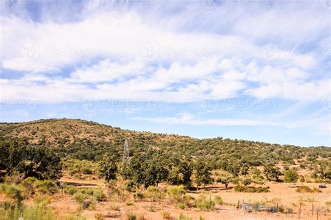 Green forest landscape 19913363 Stock Photo at Vecteezy