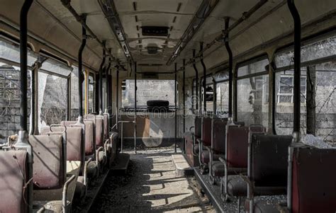 Abandoned School Bus Tram Bus Interior with Leaves Branches Vegetation ...