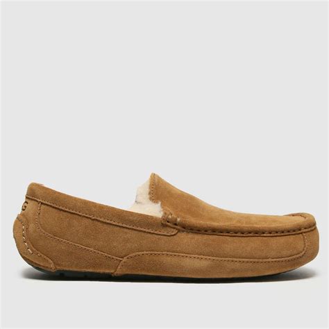 Mens Chestnut UGG Ascot Slippers | schuh