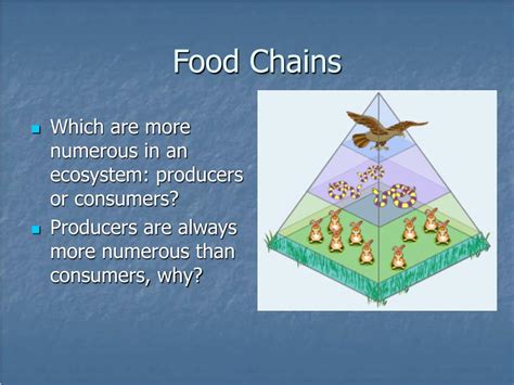 PPT - Food Chains & Energy Flow PowerPoint Presentation, free download - ID:4710218