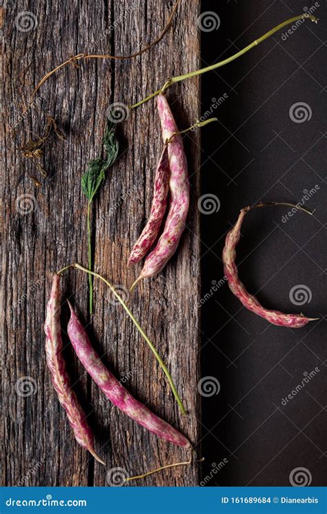 October Beans on a Wooden Surface Stock Photo - Image of vertical ...