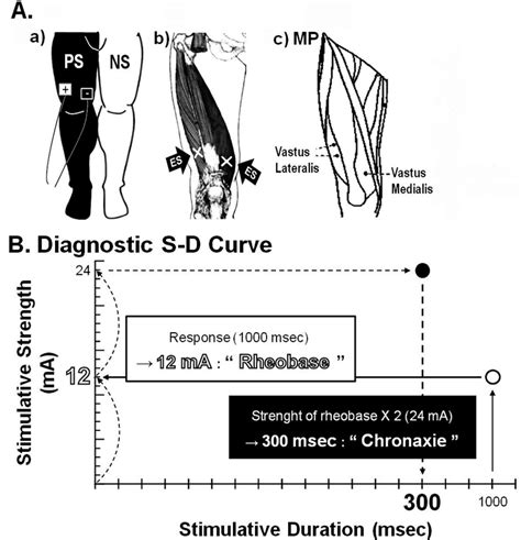 Schematic representation of the measurements of rheobase and chronaxie | Download Scientific Diagram