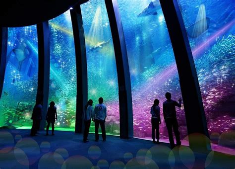 Top aquariums in Tokyo: 3 best aquariums in Tokyo and around | Aquarium, Tokyo, Travel