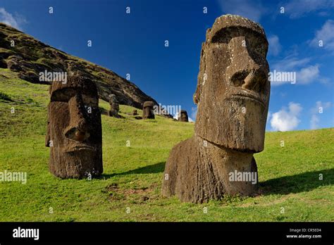 Sculptured stone statues, unfinished moai at Rano Raraku, the volcano ...