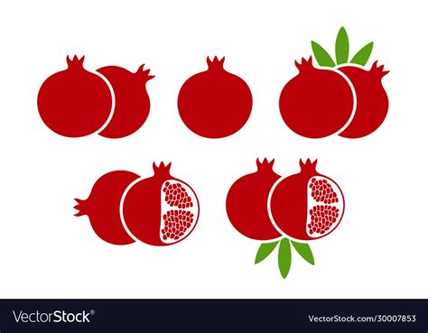 Pomegranate Vector Illustration SVG Home & Living Wall Décor etna.com.pe