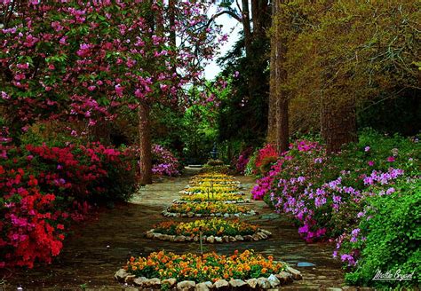 Flower Garden, tree, garden, nature, wood, Flower, HD wallpaper | Peakpx